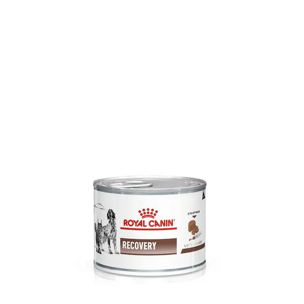 240550020 RC VD Fel/Can.Recovery 195g konz.1/12