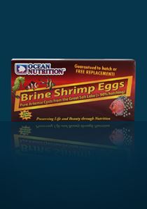 1025065 Ocean Nutrition Brine Shrimp eggs box 20g